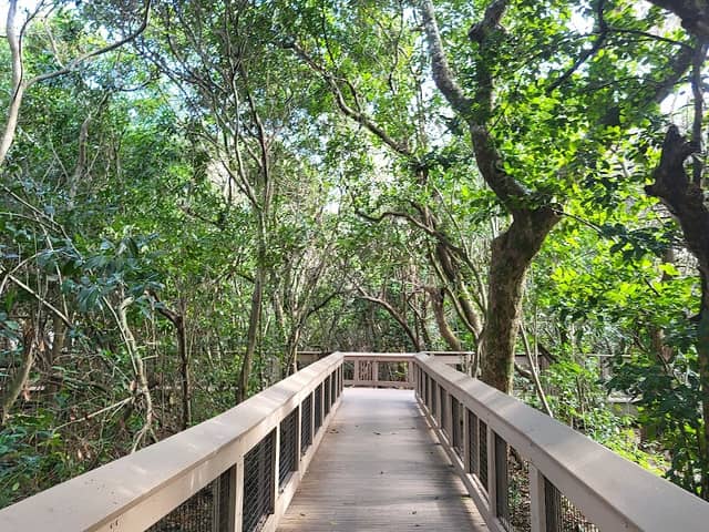 Gumbo Limbo Nature Center - Image 3
