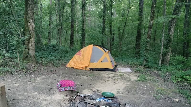 Hunter check station campground - Image 1