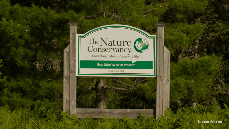 Bete Grise Wetlands Preserve - Image 3