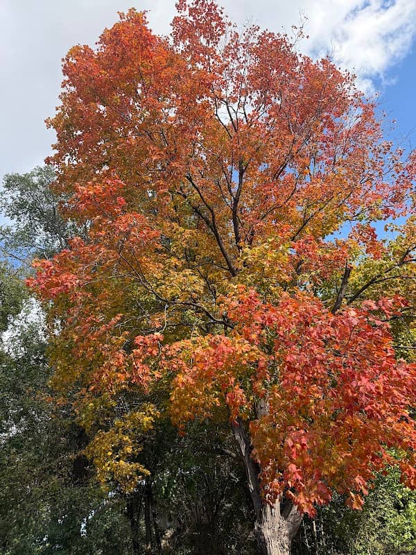 Pennsylvania Park - Image 2