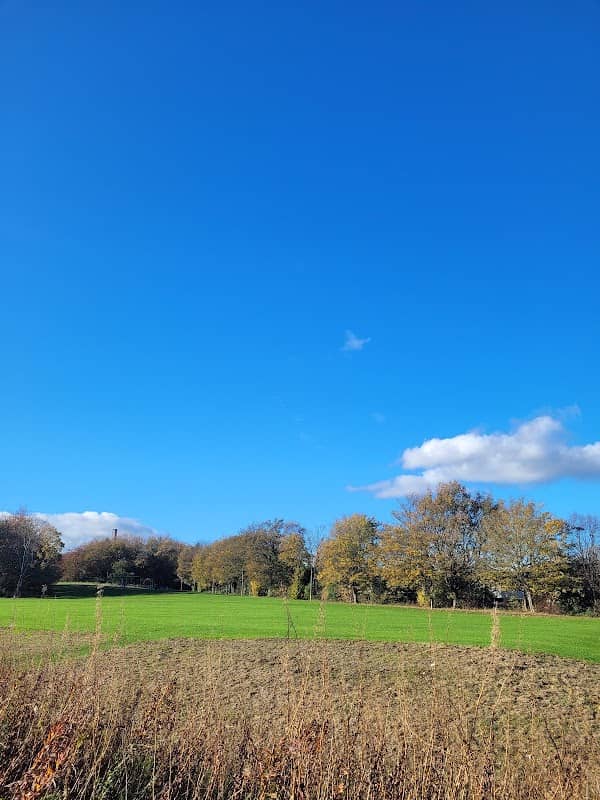 Waverley Park - Image 1