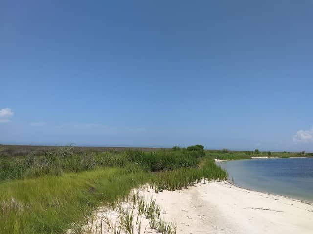 Parkers Marsh Natural Area Preserve - Image 1