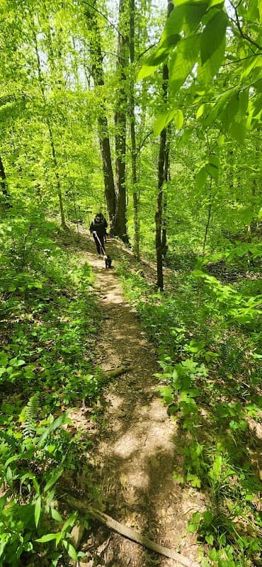 Clayborn Millennium and Merritt Ridge Trailhead - Image 1