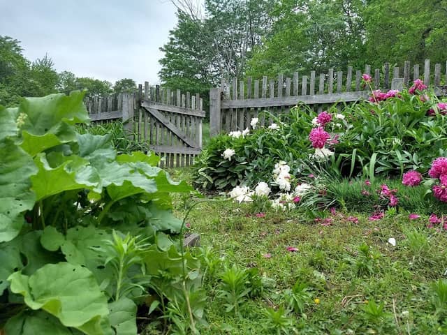 Watkins Woolen Mill Historic Garden - Image 1