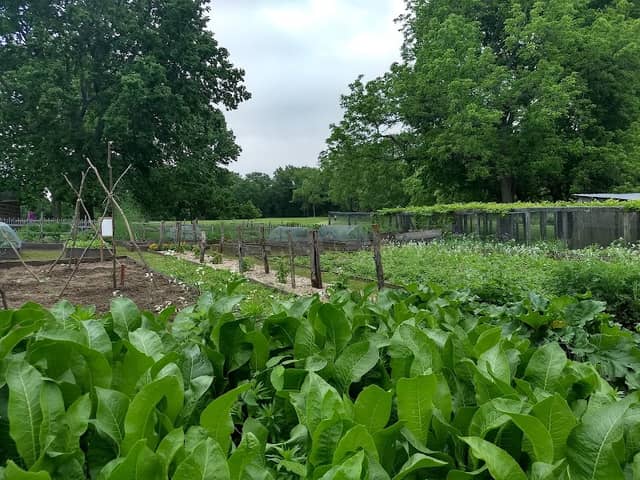 Watkins Woolen Mill Historic Garden - Image 2