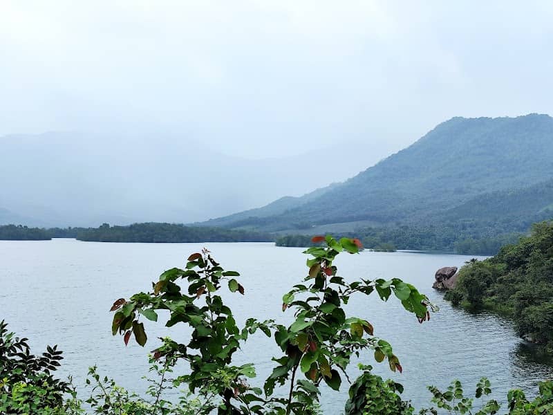 Kanjirapuzha Sunrise View Point - Image 1