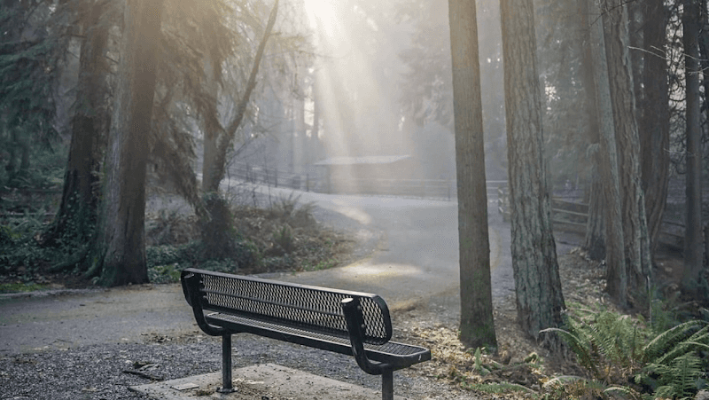 Wildwood Park - Image 1
