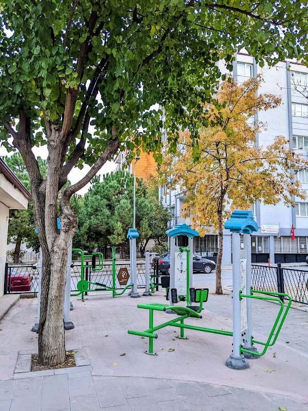 Park - Image 3
