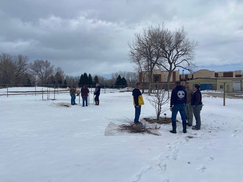 Buffalo Community Orchard - Image 2