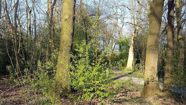 Kleiner Park am Dwaschweg - Image 1