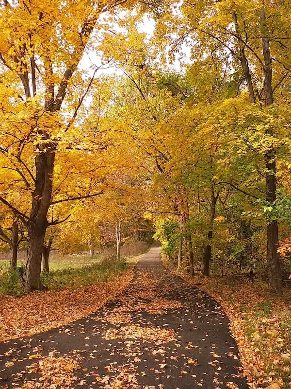 Sharon Woods Gorge Trail - Image 1