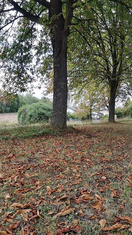 Herlaser Park (Bank) - Image 1
