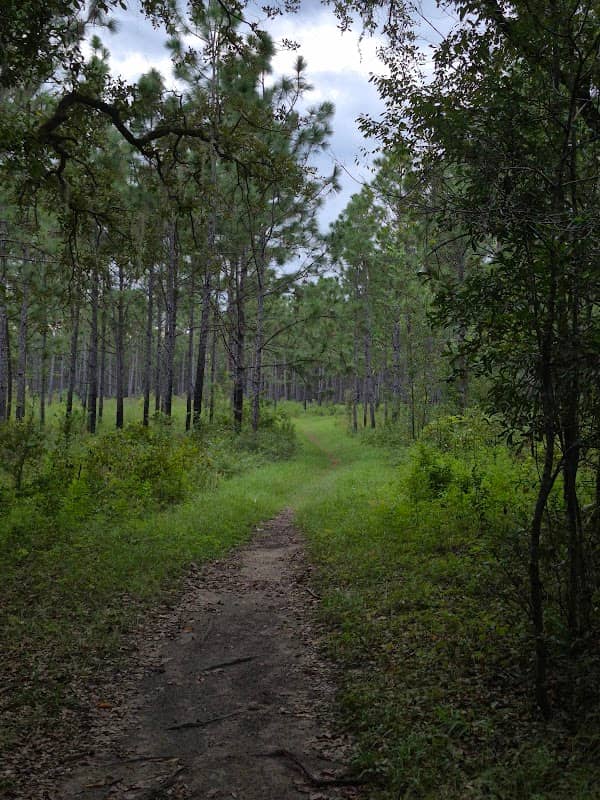 Florida Trail Baseline Road Trailhead - Image 1
