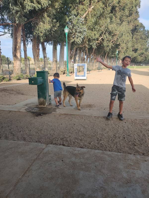 College Dog Park - Image 1