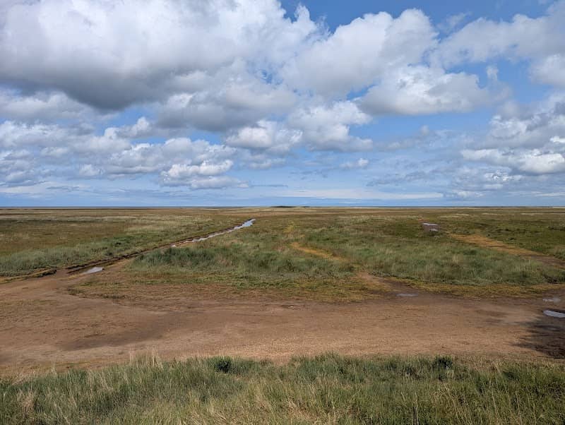 Saltfleetby-Theddlethorpe Dunes National Nature Reserve - Image 1