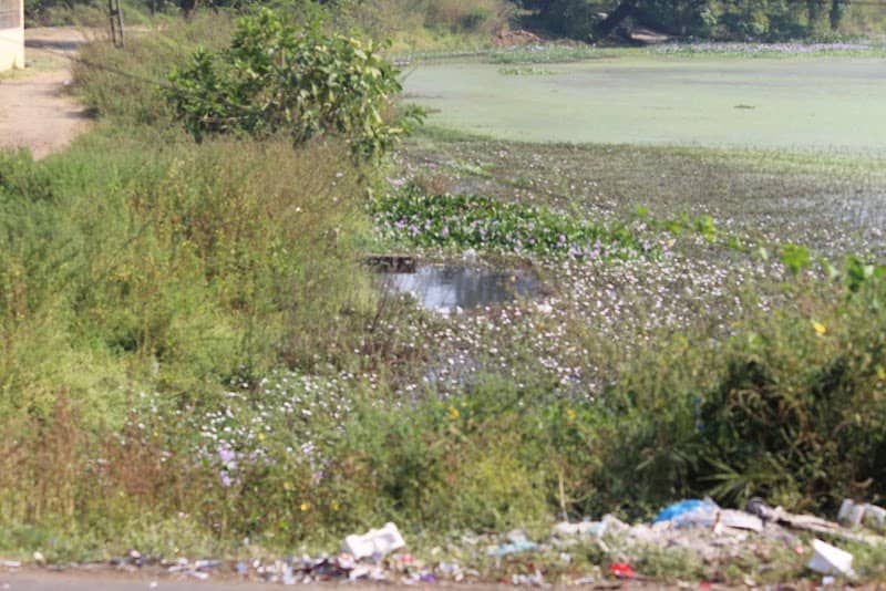 Segvi Lake - Image 1