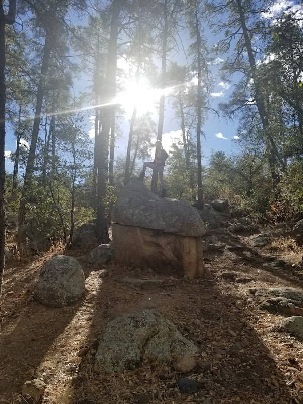 Flinn Park - Image 2