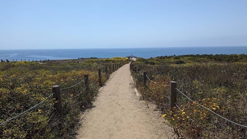 Point Dume Natural Preserve - Image 1