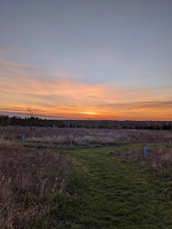 Mill Creek Preserve - Image 2