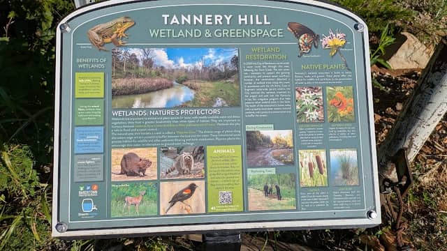 Tannery Hill Hiking Trail - Image 1