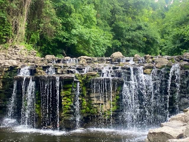 Prairie Creek Park - Image 2
