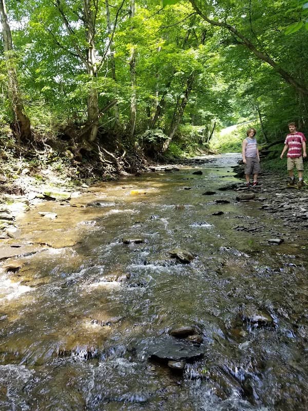 Paddleford Park - Image 2