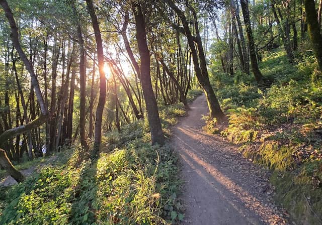 Camino Alto Open Space Preserve - Image 3