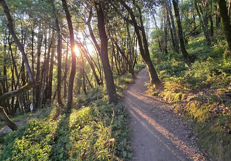 Camino Alto Open Space Preserve - Image 3
