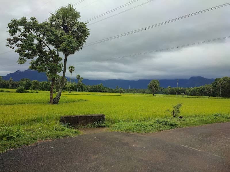 Thittumpuram View Point - Image 1