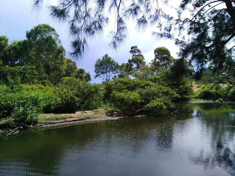 Duck river bird sanctuary - Image 2