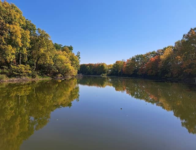 Cass River - Image 2