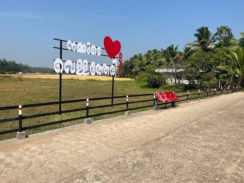 Vellatheri, theke paadam. തെക്കേ പാടം വെള്ളത്തേരി - Image 1