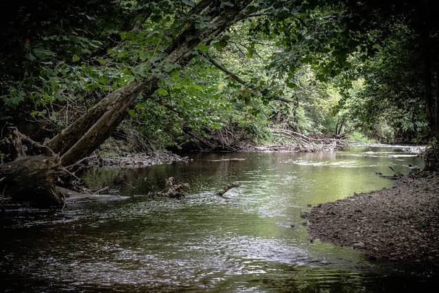 Creekside Reserve - Image 2