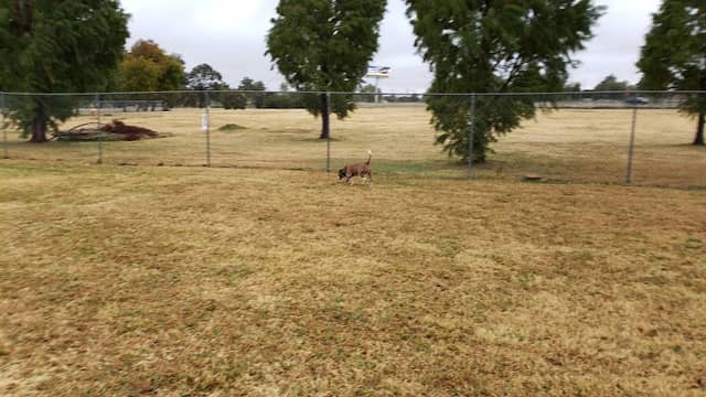 Wiggly Field - Image 1