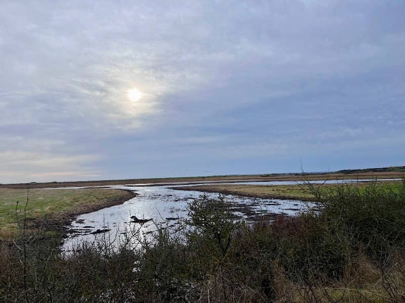 Don’s Marsh - Image 1