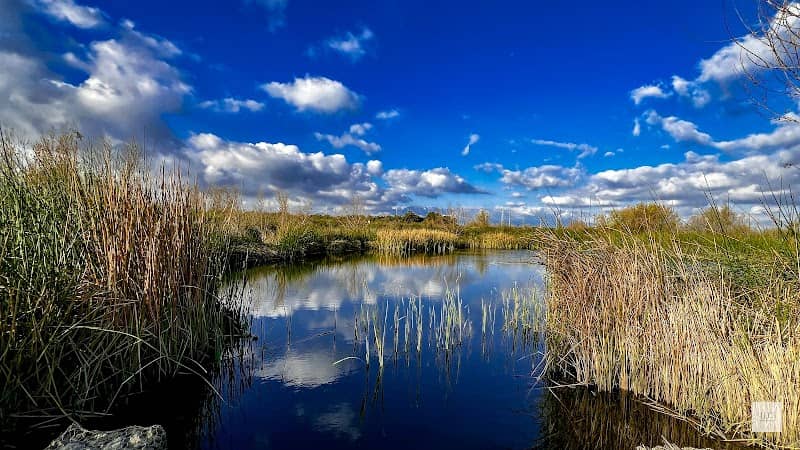 Mill Creek Wetlands - Image 1