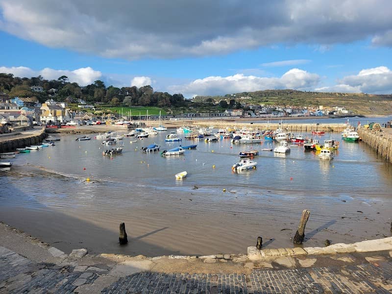 Visit Lyme Regis - Image 2