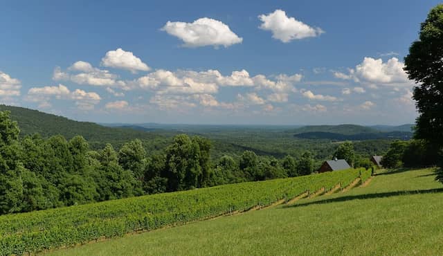 Chester Gap Cellars - Image 1