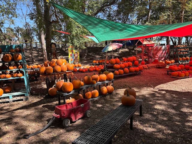 BellCreek Acres - Image 2