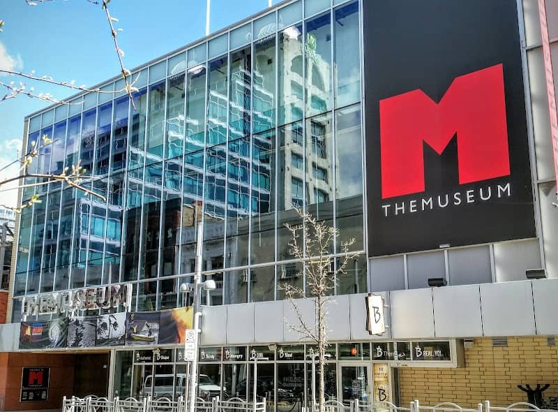 THEMUSEUM - Image 2