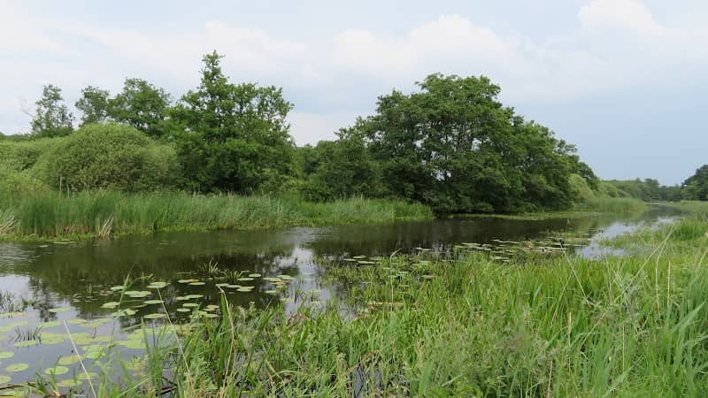 Westerbork en omgeving - Image 1