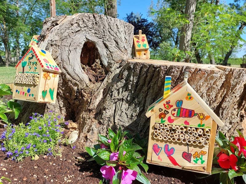 Bee Hotel San Mauro Mare - Image 2
