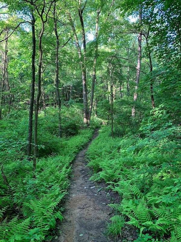 Geisinger Trails Trailhead - Image 1