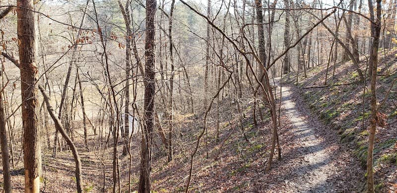 Taylor Randahl Memorial Bike Trails - Image 1