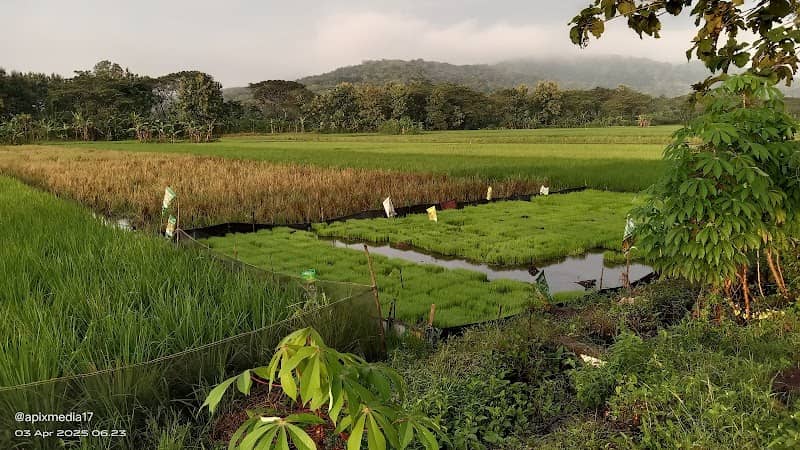 Agrowisata D'Oemah Apix - Image 1