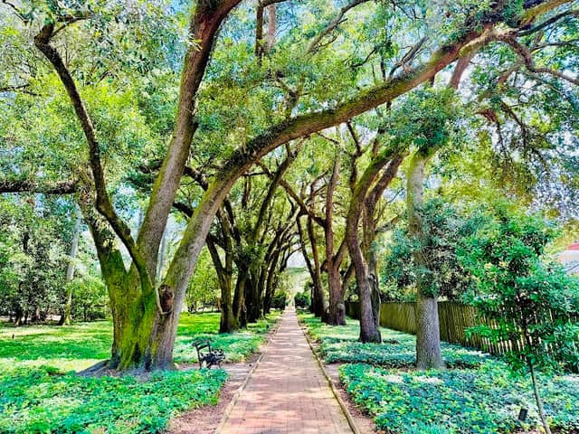 Hopelands Gardens - Image 2