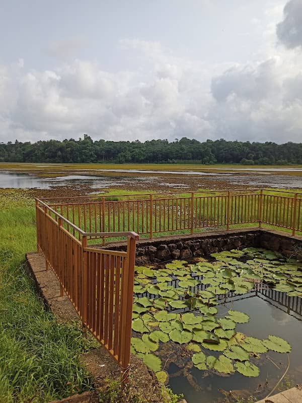 Vayyankara Chira Mega Tourism Project,Thamarakulam - Image 1