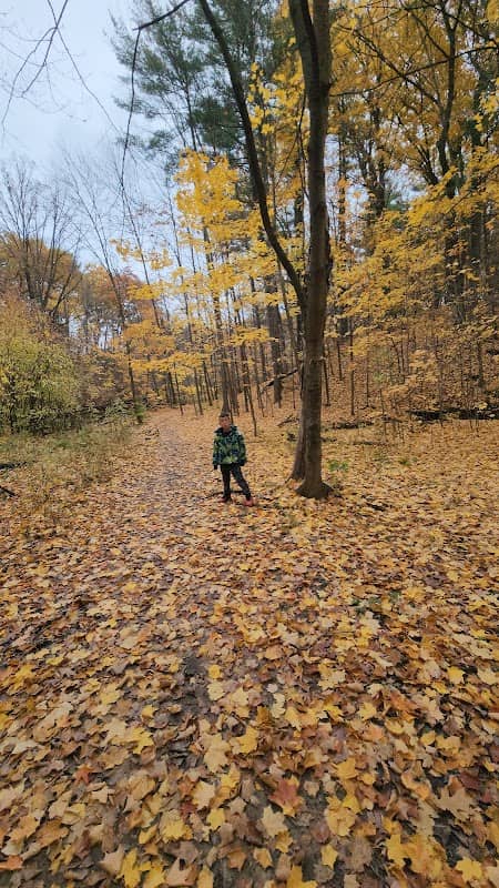 Baird Creek Park - Image 2