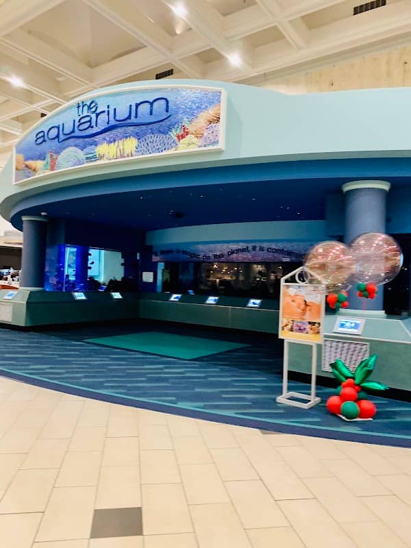 The Aquarium at Eastwood - Image 1