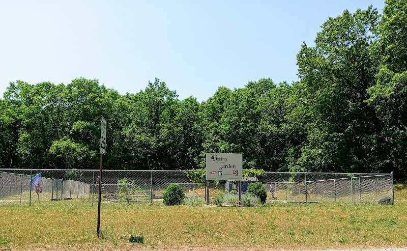Belding Community Garden - Image 2